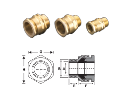 A1 / A2 Type Cable Glands - RR Global Africa